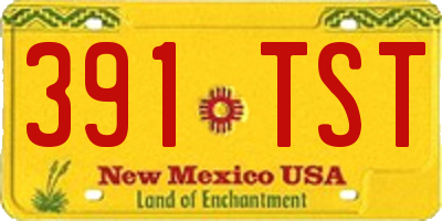 NM license plate 391TST