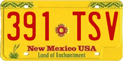 NM license plate 391TSV