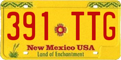 NM license plate 391TTG