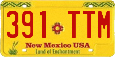 NM license plate 391TTM
