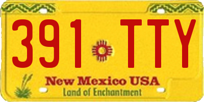 NM license plate 391TTY