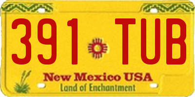 NM license plate 391TUB