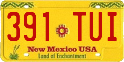 NM license plate 391TUI