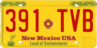 NM license plate 391TVB