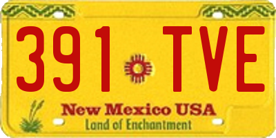 NM license plate 391TVE