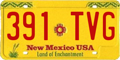 NM license plate 391TVG