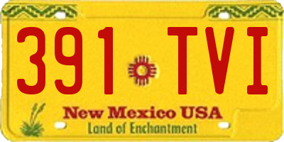NM license plate 391TVI