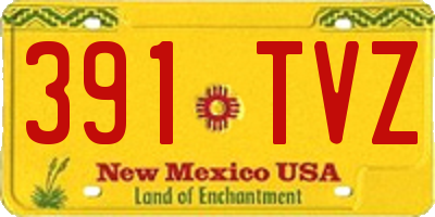 NM license plate 391TVZ