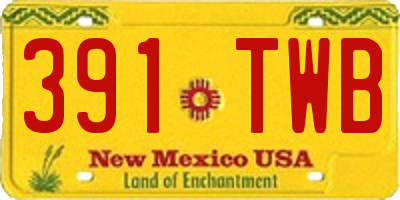 NM license plate 391TWB