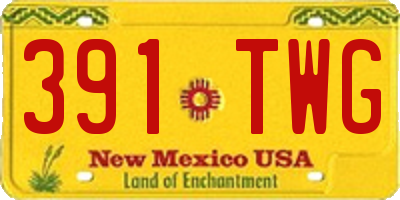 NM license plate 391TWG