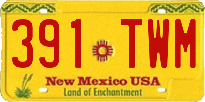 NM license plate 391TWM