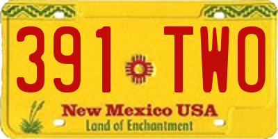 NM license plate 391TWO