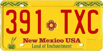 NM license plate 391TXC