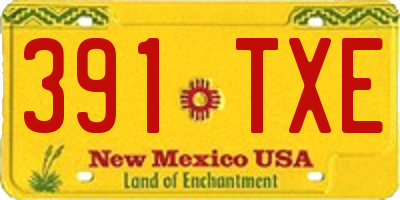 NM license plate 391TXE