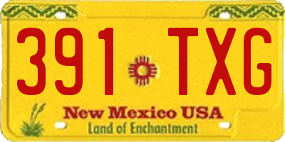 NM license plate 391TXG