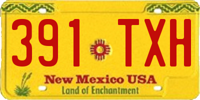 NM license plate 391TXH