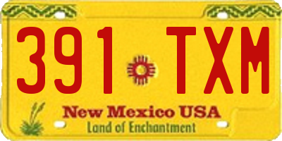 NM license plate 391TXM