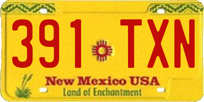 NM license plate 391TXN