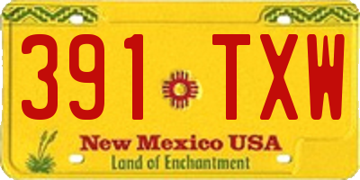NM license plate 391TXW