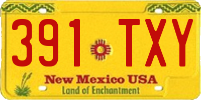 NM license plate 391TXY