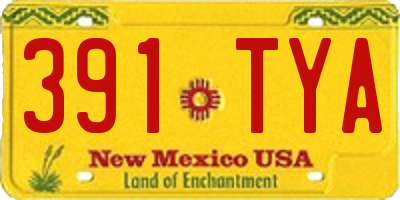 NM license plate 391TYA