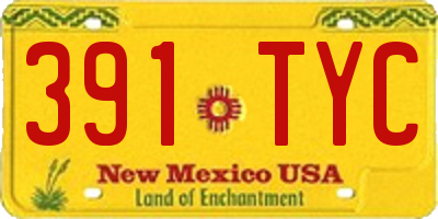 NM license plate 391TYC