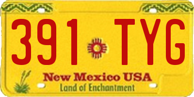 NM license plate 391TYG