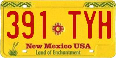 NM license plate 391TYH