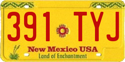 NM license plate 391TYJ