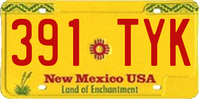 NM license plate 391TYK