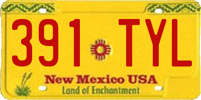 NM license plate 391TYL
