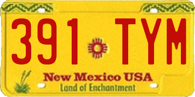NM license plate 391TYM