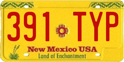 NM license plate 391TYP