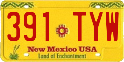NM license plate 391TYW