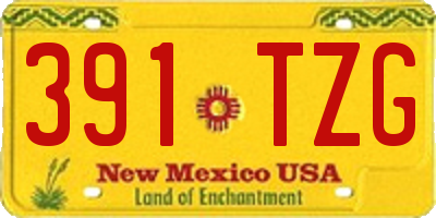 NM license plate 391TZG