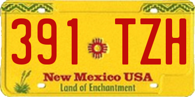 NM license plate 391TZH