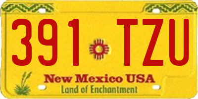 NM license plate 391TZU