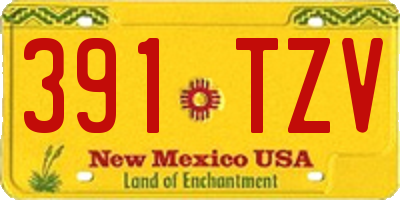 NM license plate 391TZV