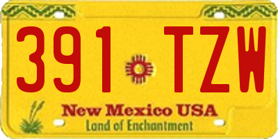 NM license plate 391TZW