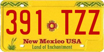 NM license plate 391TZZ