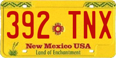 NM license plate 392TNX
