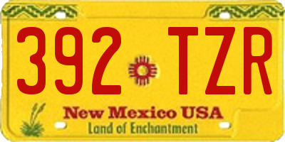 NM license plate 392TZR