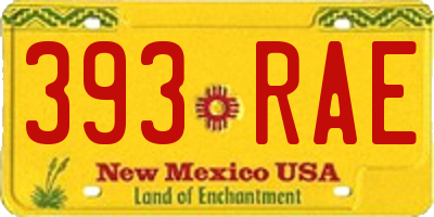 NM license plate 393RAE