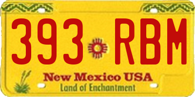 NM license plate 393RBM