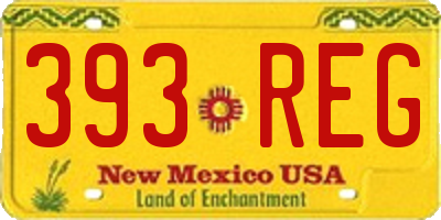 NM license plate 393REG