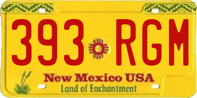 NM license plate 393RGM