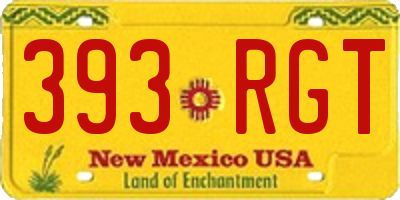 NM license plate 393RGT