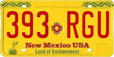 NM license plate 393RGU