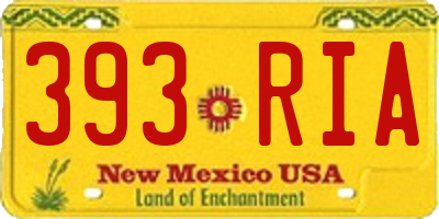 NM license plate 393RIA