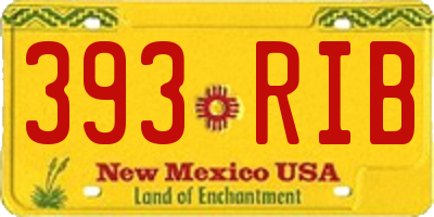 NM license plate 393RIB